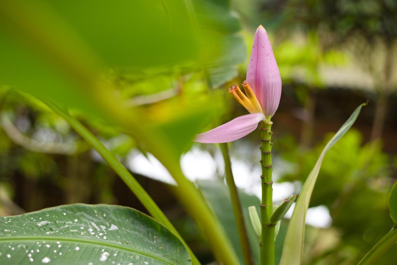 Mandala Ou Resort Nong Khiaw ภายนอก รูปภาพ